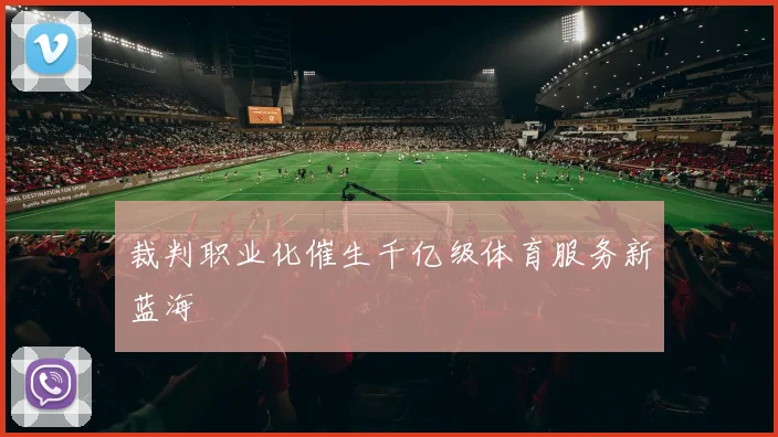 裁判职业化催生千亿级体育服务新蓝海