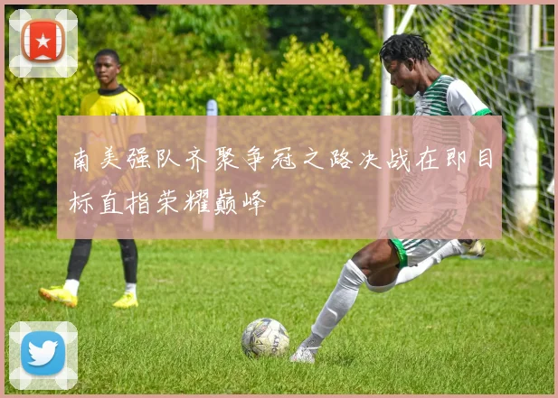 南美强队齐聚争冠之路决战在即目标直指荣耀巅峰