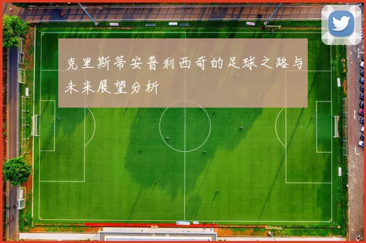 克里斯蒂安普利西奇的足球之路与未来展望分析