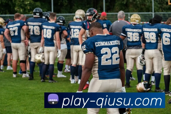 多媒体互动体验