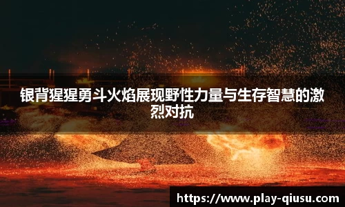 银背猩猩勇斗火焰展现野性力量与生存智慧的激烈对抗